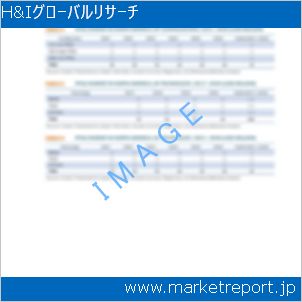 市場と産業調査レポートのイメージ
